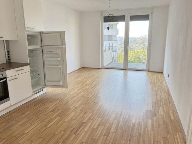 Wohnung mieten in Katastralgemeinde Baierdorf, Graz