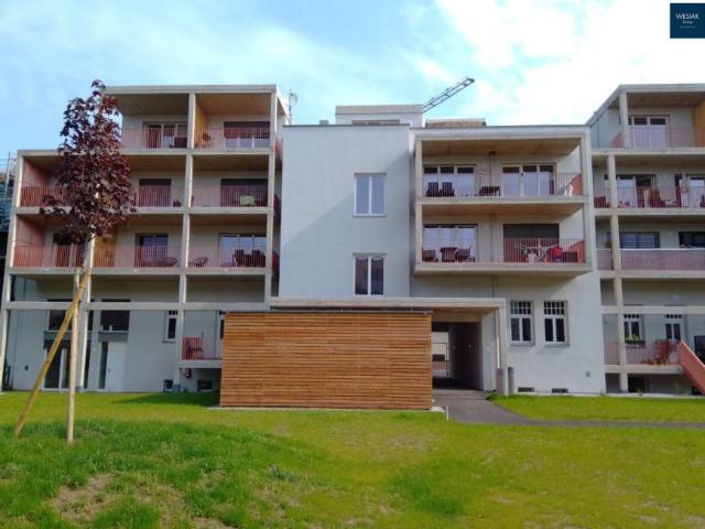 Wohnung mieten in Katastralgemeinde Baierdorf, Graz