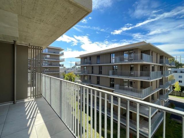 Wohnung mieten in Katastralgemeinde Geidorf, Graz