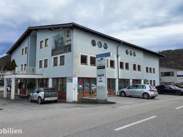 Wohnung kaufen in Wildschönau, Tirol