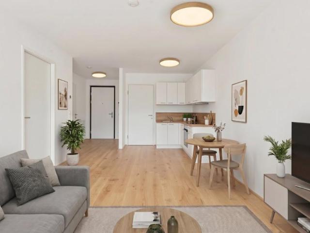 Wohnung kaufen in Hall in Tirol, Tirol