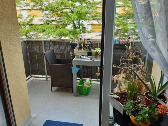 Wohnung mieten in Seebach-Wasenboden, Judendorf-Straßengel