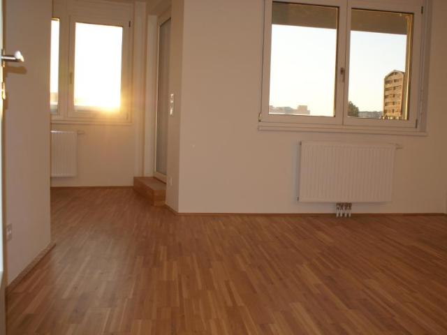 Wohnung mieten in Liesing, Wien