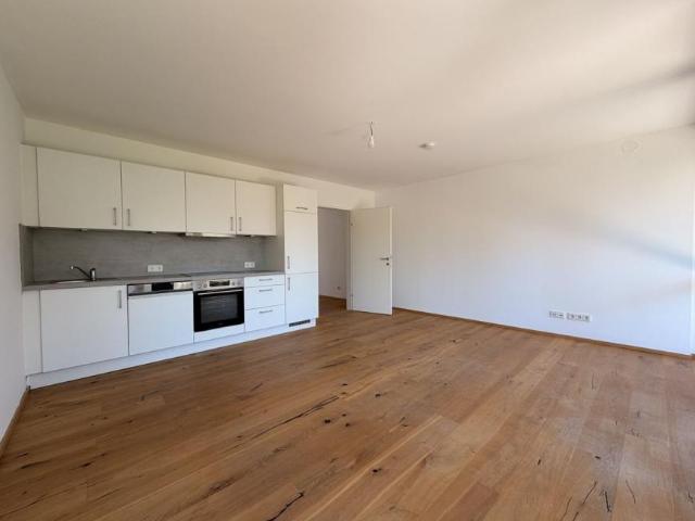 Wohnung mieten in Innere Stadt, Wien