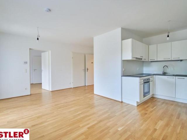 Wohnung mieten in Innere Stadt, Wien