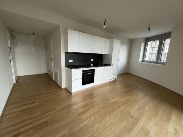Wohnung mieten in Innere Stadt, Wien