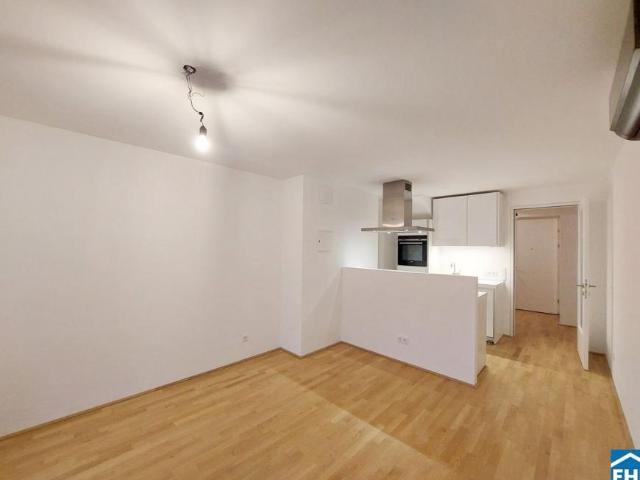 Wohnung mieten in Innere Stadt, Wien