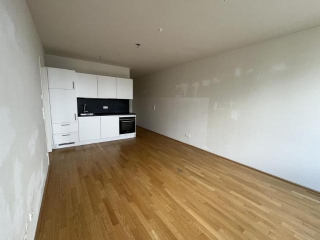 Wohnung mieten in Innere Stadt, Wien