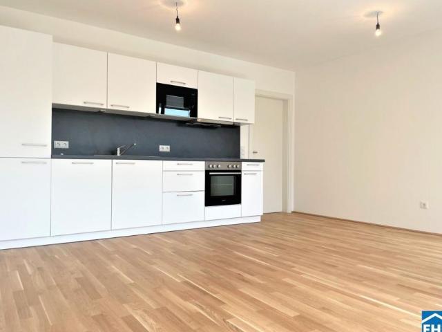 Wohnung mieten in Innere Stadt, Wien