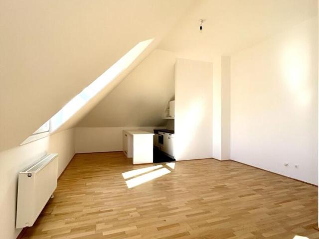 Wohnung mieten in Innere Stadt, Wien