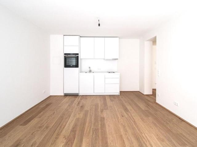 Wohnung mieten in Innere Stadt, Wien