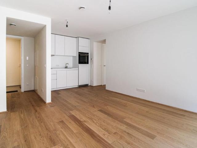 Wohnung mieten in Innere Stadt, Wien