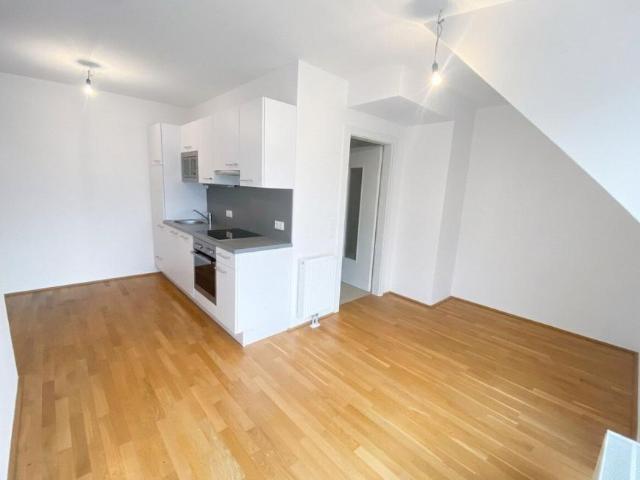Wohnung mieten in Innere Stadt, Wien