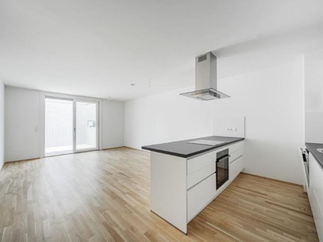 Wohnung mieten in Innere Stadt, Wien