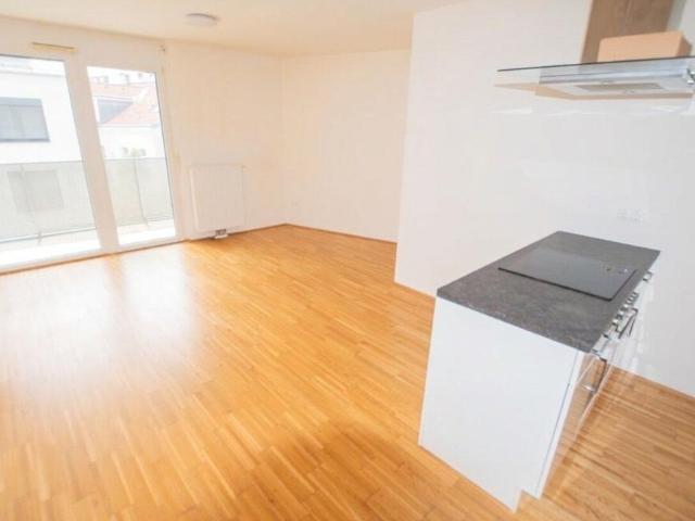 Wohnung mieten in Innere Stadt, Wien