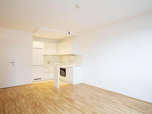 Wohnung mieten in Innere Stadt, Wien