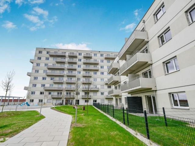 Wohnung mieten in Innere Stadt, Wien