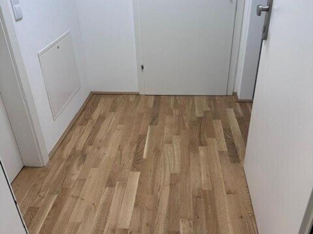 Wohnung mieten in Innere Stadt, Wien