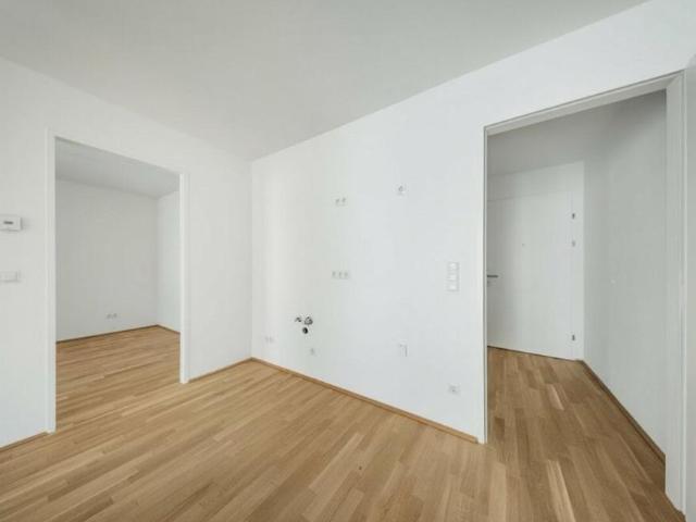 Wohnung mieten in Innere Stadt, Wien