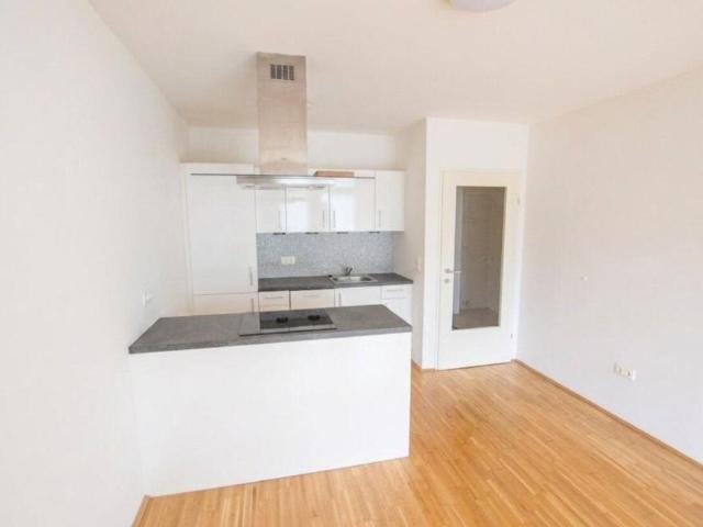 Wohnung mieten in Innere Stadt, Wien