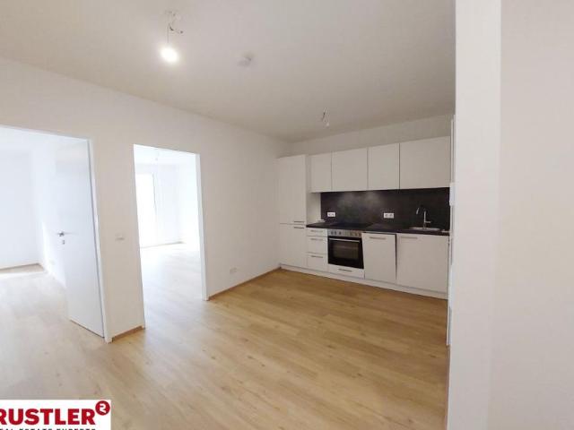 Wohnung mieten in Innere Stadt, Wien