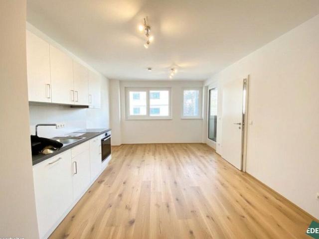 Wohnung mieten in Innere Stadt, Wien