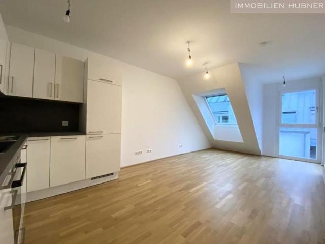 Wohnung mieten in Innere Stadt, Wien