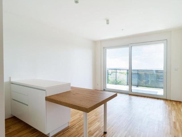 Wohnung mieten in Innere Stadt, Wien