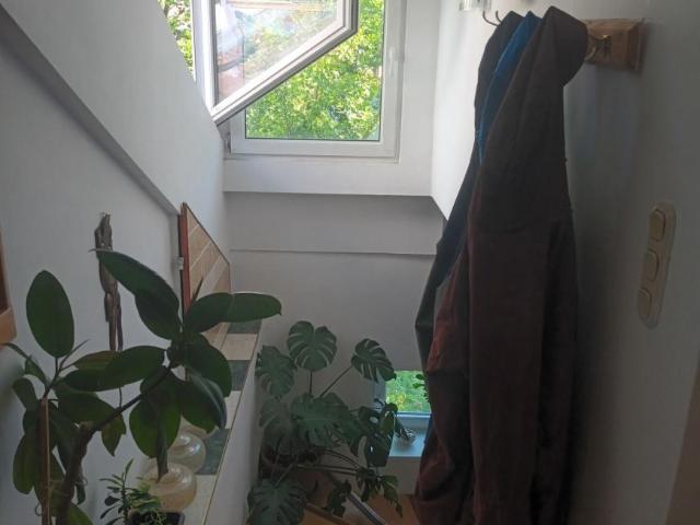 Wohnung mieten in Innere Stadt, Wien