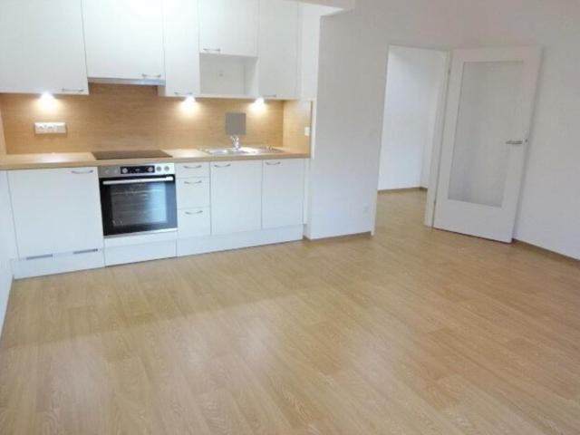 Wohnung mieten in Innere Stadt, Wien