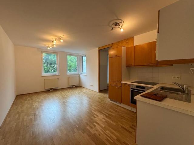 Wohnung mieten in Innere Stadt, Wien