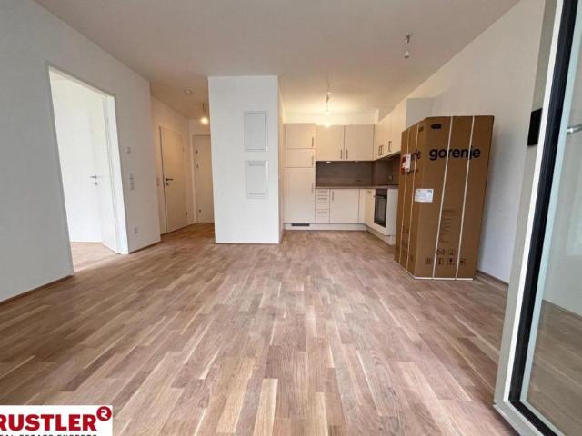 Wohnung mieten in Innere Stadt, Wien