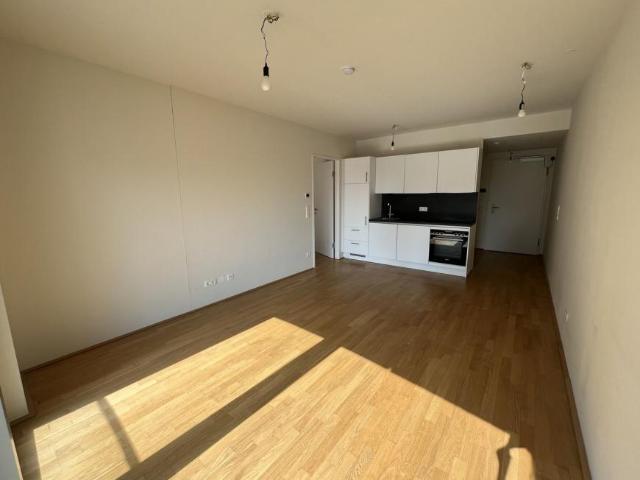 Wohnung mieten in Innere Stadt, Wien