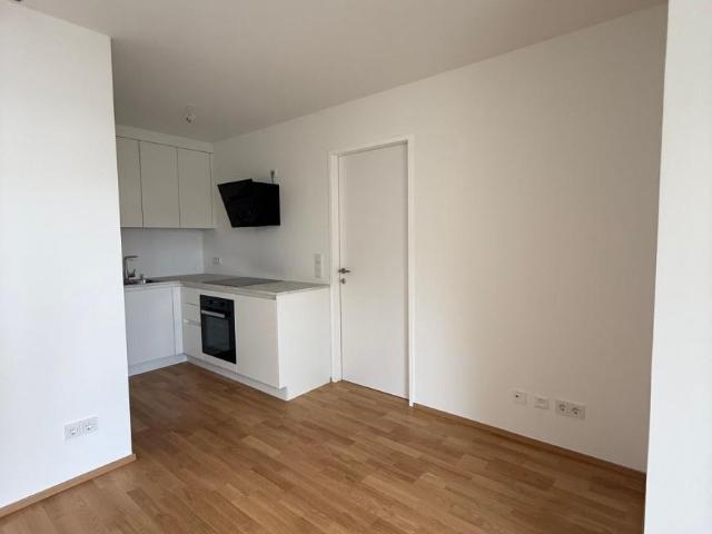 Wohnung mieten in Innere Stadt, Wien