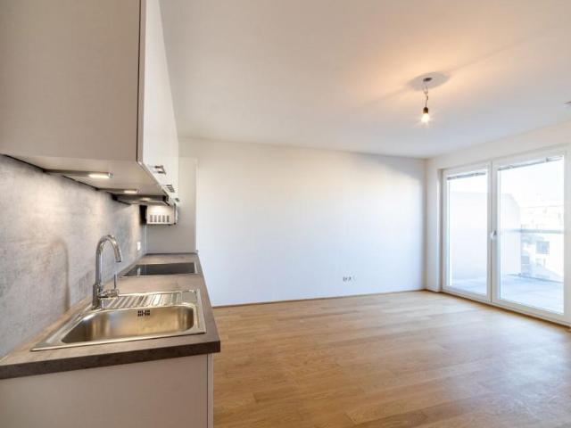Wohnung mieten in Innere Stadt, Wien