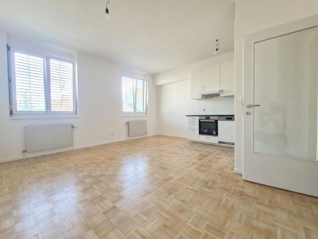 Wohnung mieten in Innere Stadt, Wien