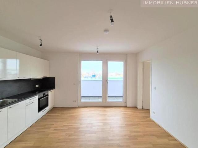 Wohnung mieten in Innere Stadt, Wien