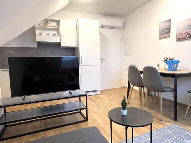 Wohnung mieten in Innere Stadt, Wien