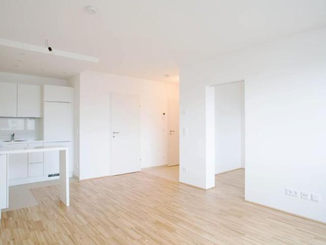 Wohnung mieten in Innere Stadt, Wien