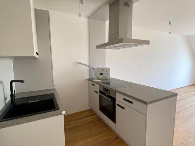 Wohnung mieten in Innere Stadt, Wien