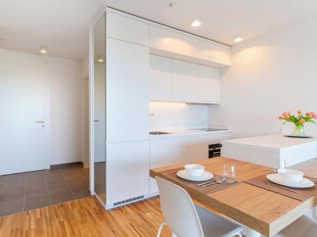 Wohnung mieten in Innere Stadt, Wien