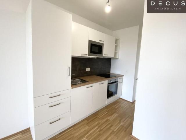 Wohnung mieten in Innere Stadt, Wien
