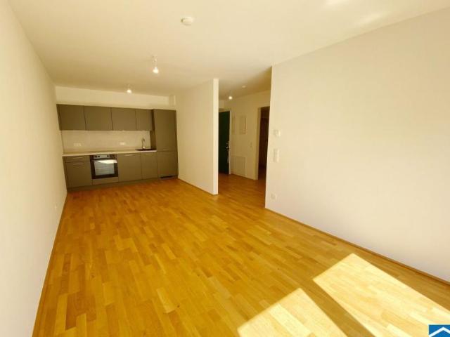 Wohnung mieten in Innere Stadt, Wien