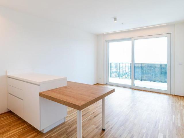 Wohnung mieten in Innere Stadt, Wien