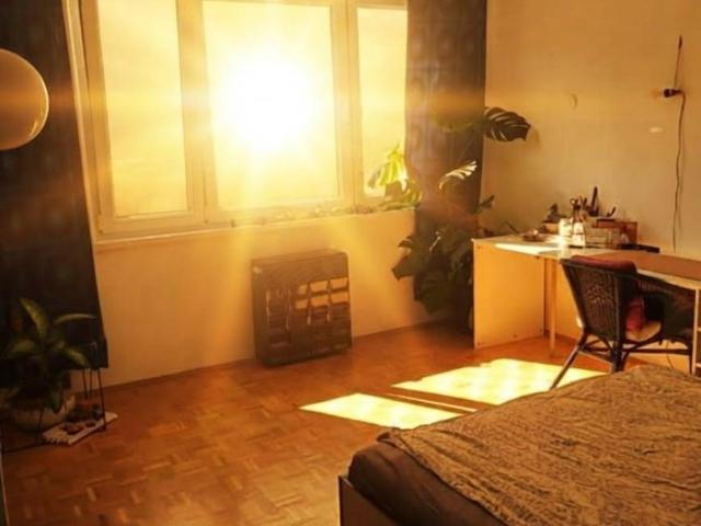Wohnung mieten in Innere Stadt, Wien