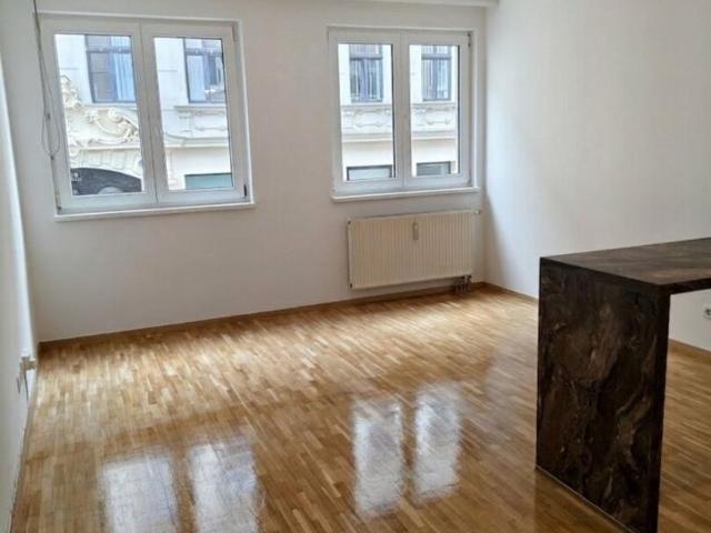 Wohnung mieten in Innere Stadt, Wien