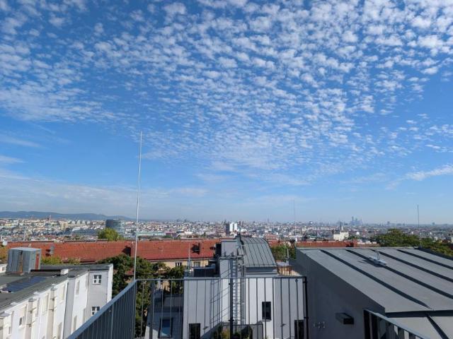 Wohnung mieten in KG Innere Stadt, Wien