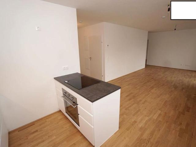 Wohnung mieten in KG Innere Stadt, Wien