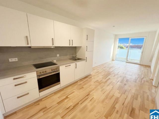 Wohnung mieten in KG Innere Stadt, Wien