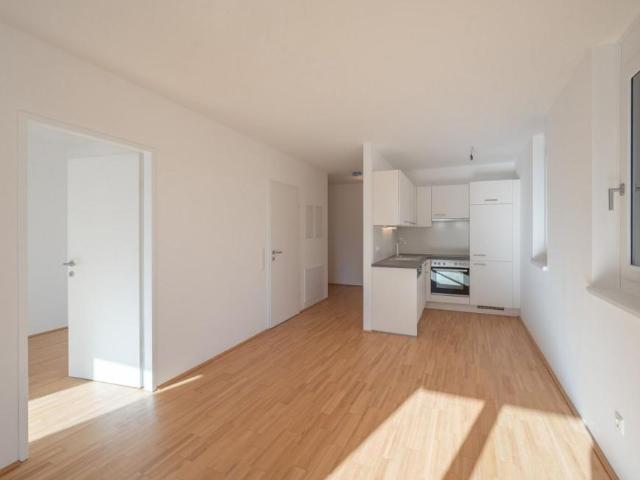 Wohnung mieten in KG Innere Stadt, Wien